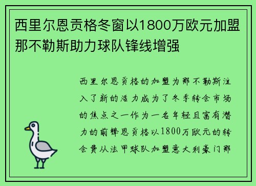 西里尔恩贡格冬窗以1800万欧元加盟那不勒斯助力球队锋线增强